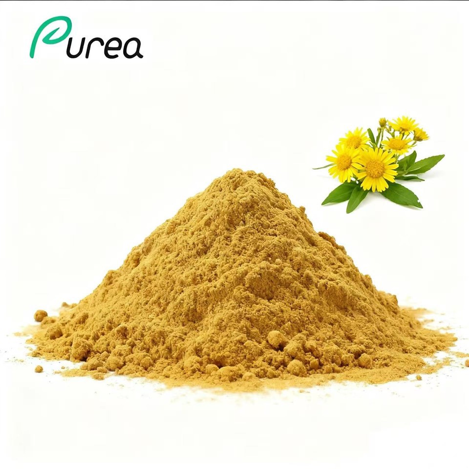 Arnica Montana Flower Extract Powder