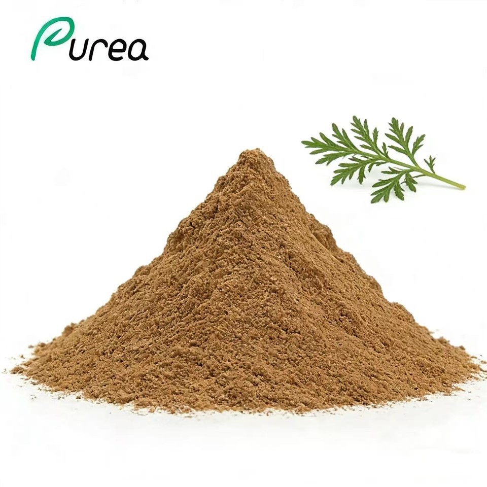 Artemisia Annua Extract Powder