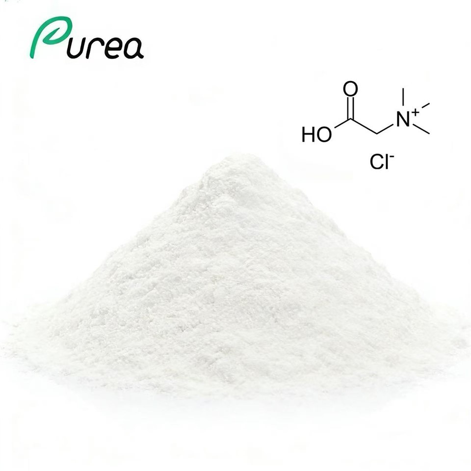 Betaine Hydrochloride 590-46-5