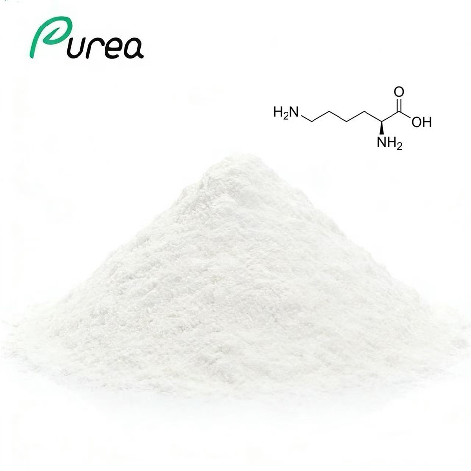 Bulk Lysine 56-87-1