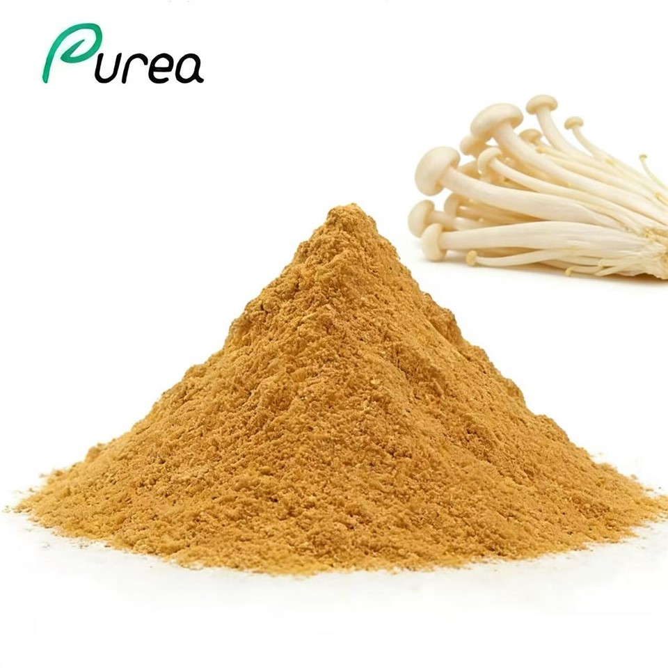 Enoki Mushroom Extract Powder