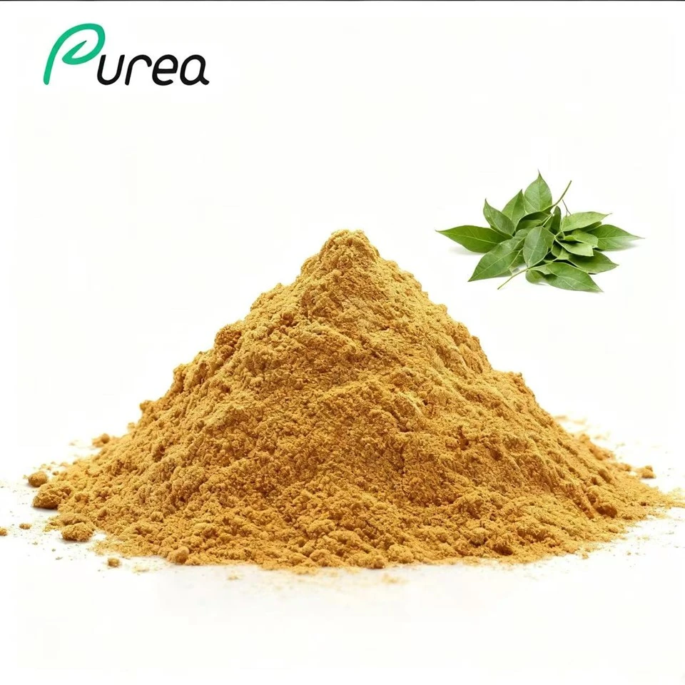 Gymnema Leaf Extract Powder