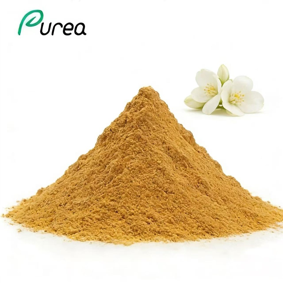 Jasmine Flower Extract Powder