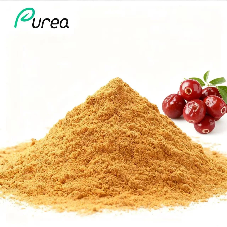 Jujuba Extract Powder