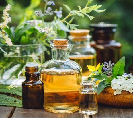 Natural Animal & Plant Extracts