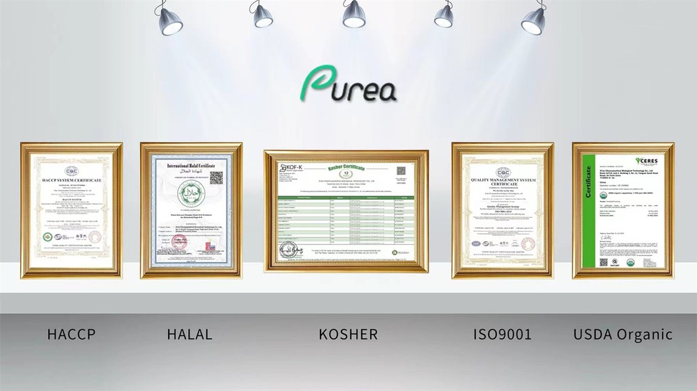 30a98e3fba20898838807dcbb62f14ea 30a98e3fba20898838807dcbb62f14ea