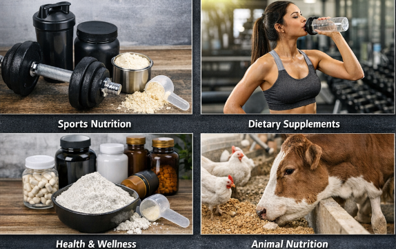 b5e80a18c1d5e4334ba440ac27465fa3 b5e80a18c1d5e4334ba440ac27465fa3