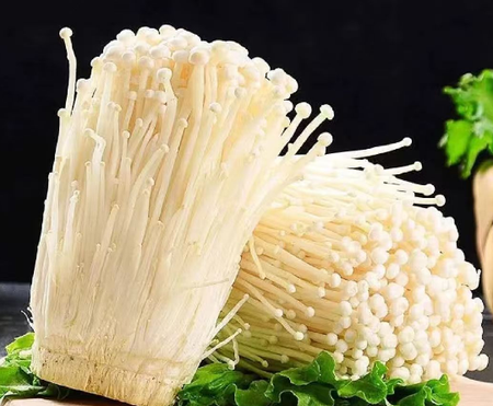 bd1c8d64fbaffcfee72c2796ae9e08b7 bd1c8d64fbaffcfee72c2796ae9e08b7