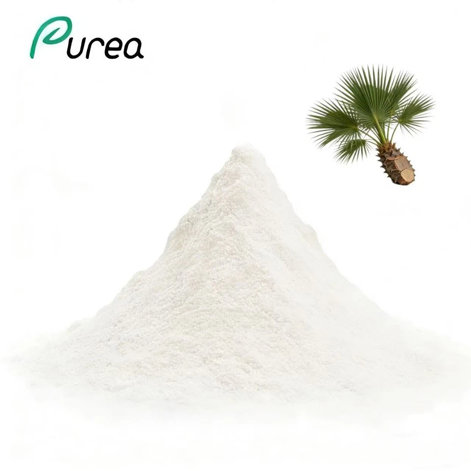 Saw Palmetto Oil Extract Powder