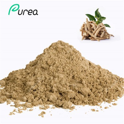 Ashwagandha Root Extract Powder