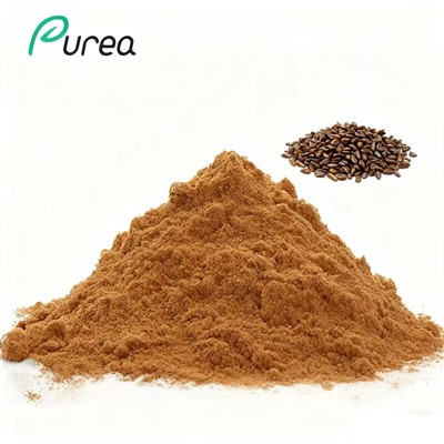 Cassia Seed Extract Powder