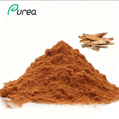 Cinchona Bark Powder