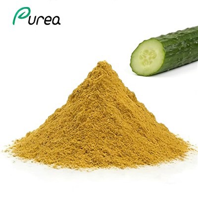 Cucumber Extract Powder