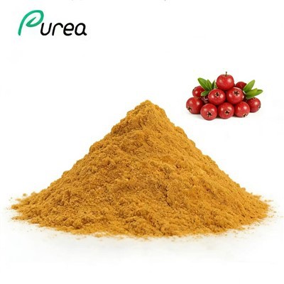Hawthorn Fruit Extract Powder