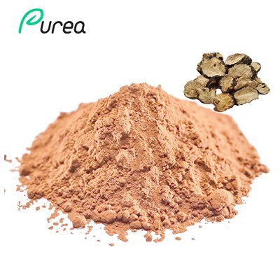 Maca Root Extract Powder