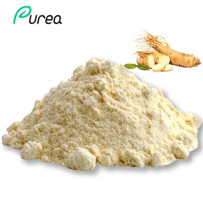 Panax Ginseng Root Extract Powder