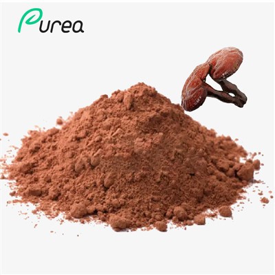 Best Reishi Mushroom Extract Powder