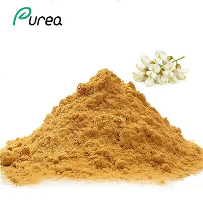 Rutin Powder High Purity