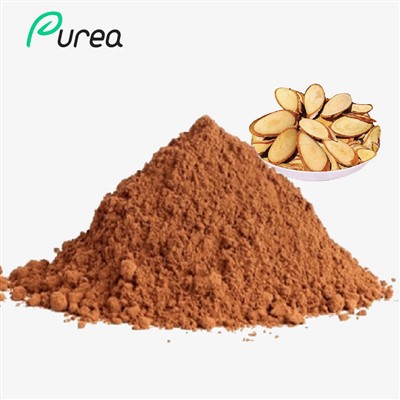 Tongkat Ali Root Extract Powder